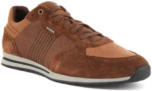 Geox Edizione Trainers In Brown For Men